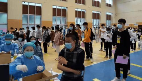 帕劳政府爆料了吗最新消息,揭秘神秘事件真相！  第3张